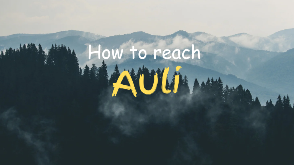 How to Reach Auli from Delhi