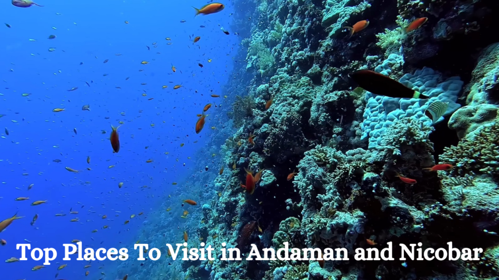 Places To Visit in Andaman and Nicobar